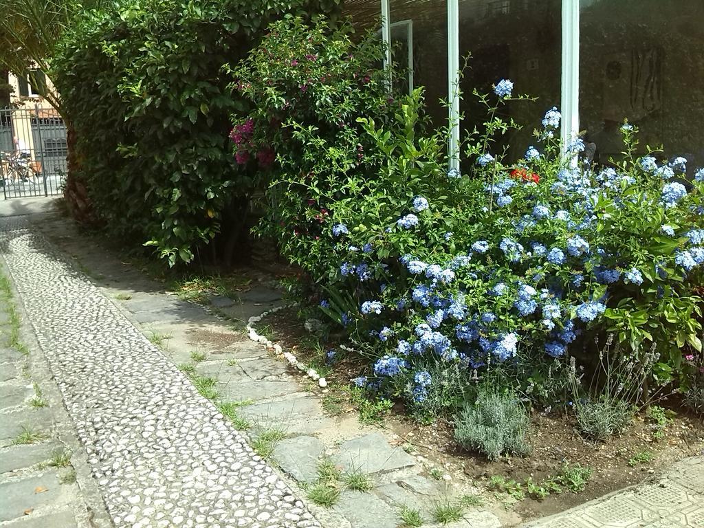 Il Nido Sul Mare A フォルテ・デイ・マルミ 部屋 写真